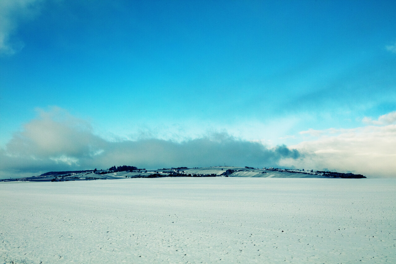 La colline de Montgueux (Aube en champagne, France) sous la neige le 22 novembre 2024 au petit matin.